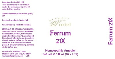 Ferrum 21x Ampules (Ferrum 21x Ampules)
